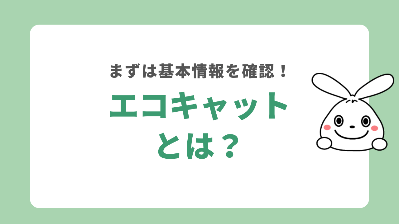 エコキャットとは？