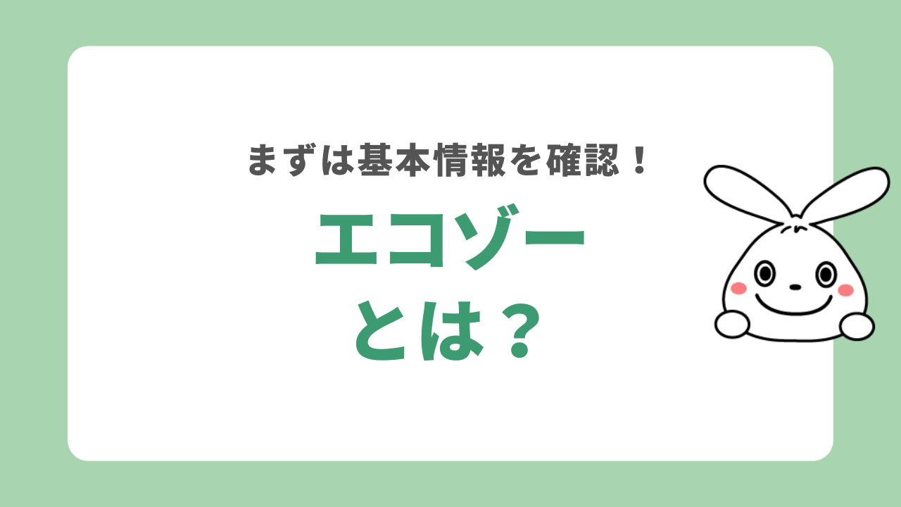 エコゾーとは？