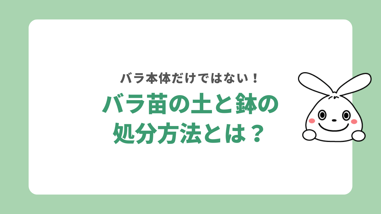 バラ苗の土と鉢の処分方法