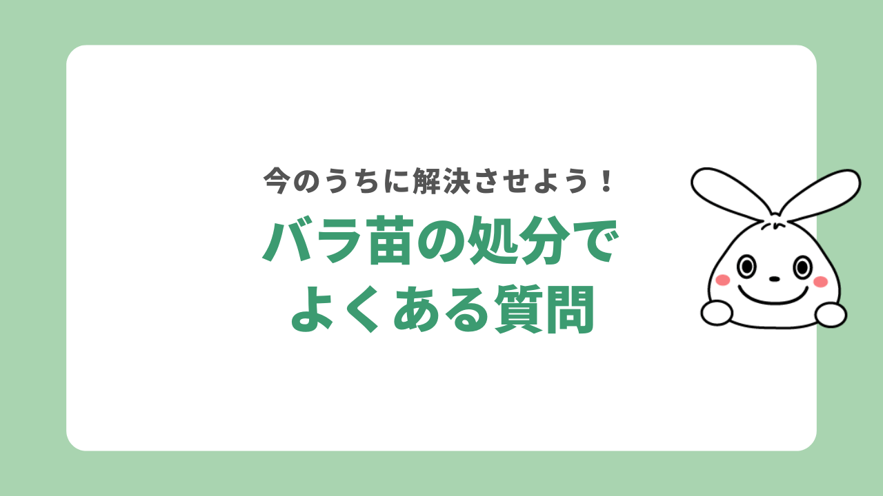 バラ苗の処分でよくある質問