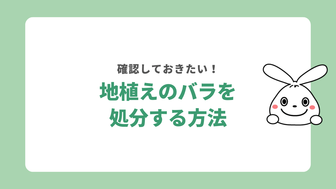 地植えのバラを処分する方法